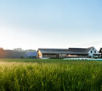 Landwirtschaft und Wiese mit Silageballen