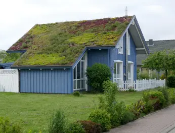 Einfamilienhaus mit gegrüntem Dach