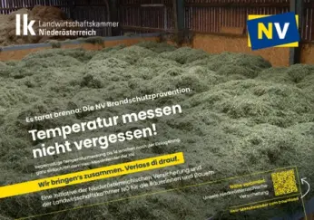 Brandprävention Hitze und Zunder