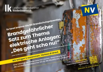 alter Stromverteilerkasten