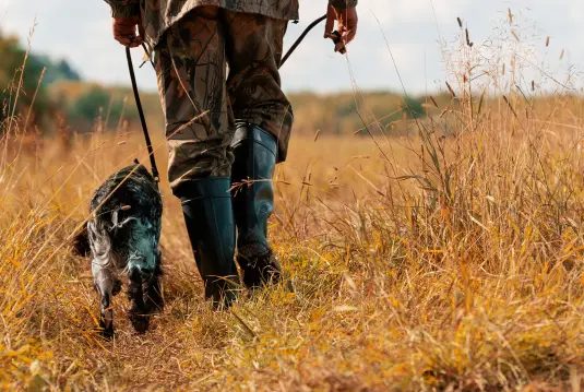 Jäger geht mit Jagdhund durchs Gras