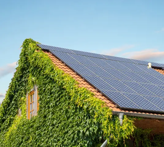 Efeu bewachsenes Haus mit Photovoltaikanlage am Dach